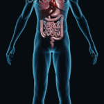 Intestinal Health